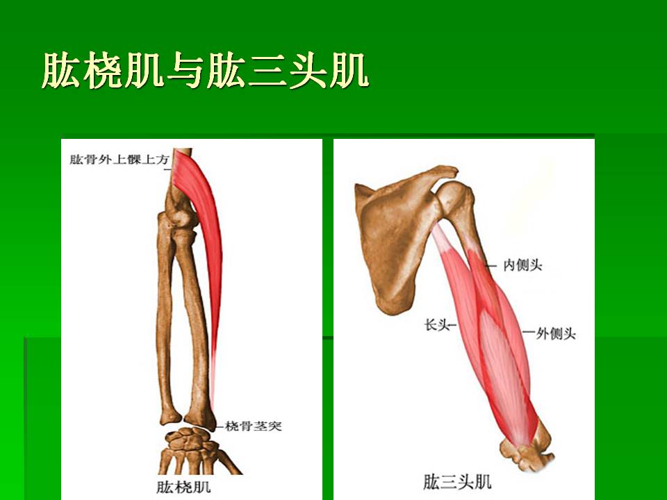 幻灯片57.JPG