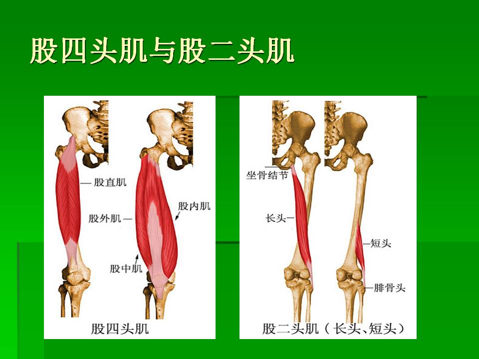 幻灯片60.JPG