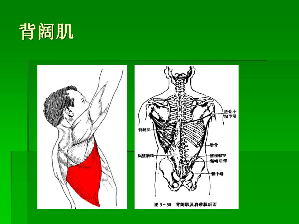 幻灯片58.JPG