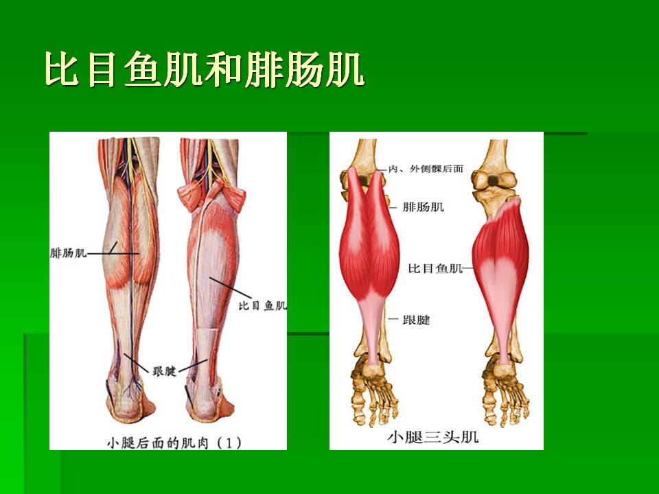幻灯片62.JPG