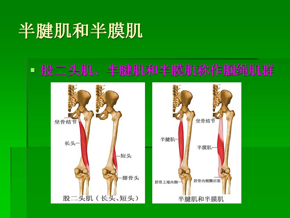 幻灯片61.JPG