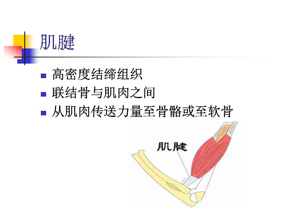 幻灯片21.JPG