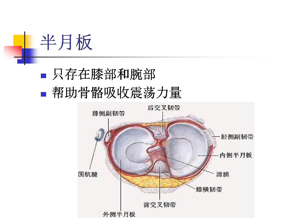 幻灯片24.JPG