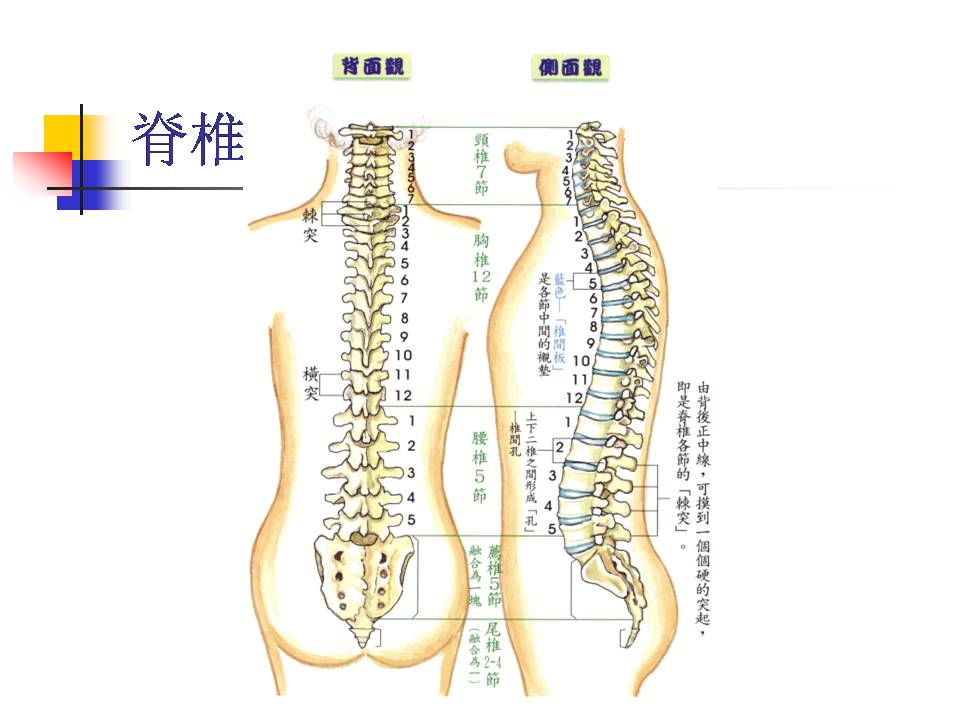 幻灯片28.JPG