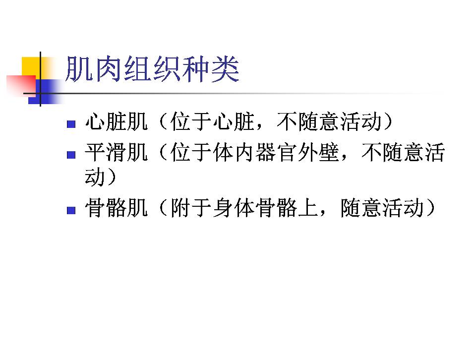 幻灯片30.JPG