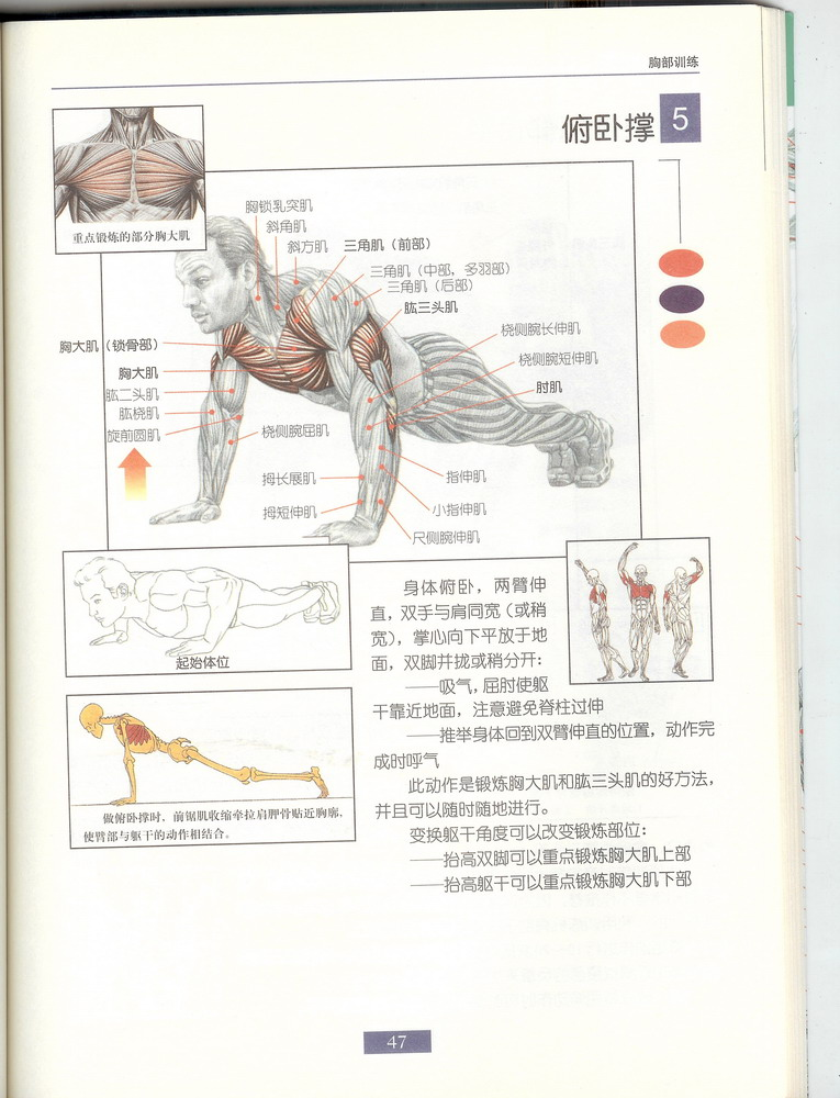 05.bmp