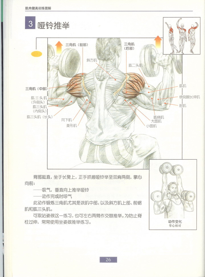 哑铃推举.jpg