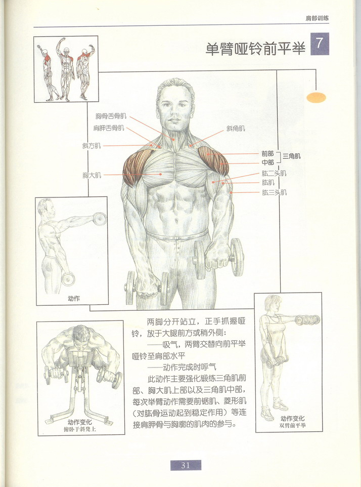 单臂哑铃前平举.jpg