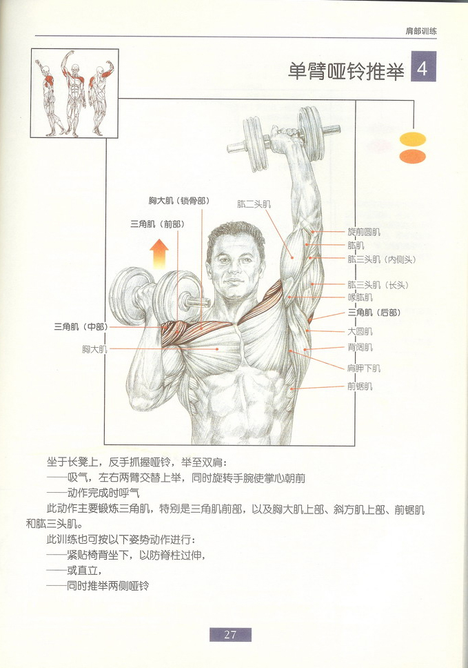 单臂哑铃推举.jpg