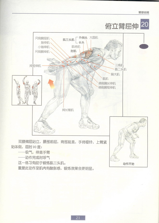 俯立臂曲伸.jpg