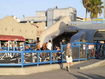 musclebeach.jpg