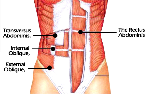 manage_abs5.jpg