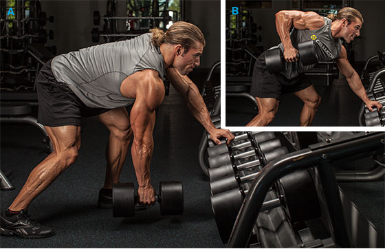 cellucor_built_by_science_back_overview_graphics-dumbbell-rowb.jpg