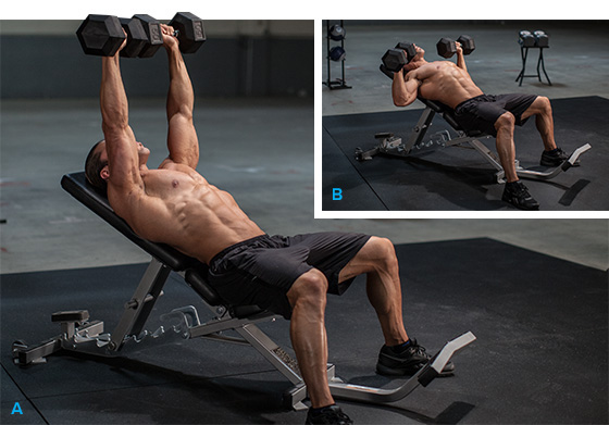 cellucor-bbs-chest-3.jpg