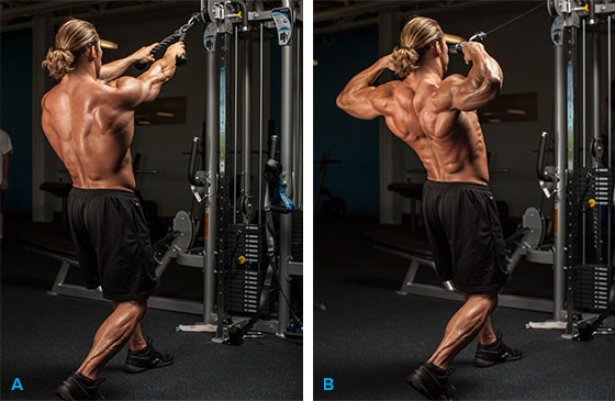 cellucor_built_by_science_days_1-3_craig_graphics-back.jpg