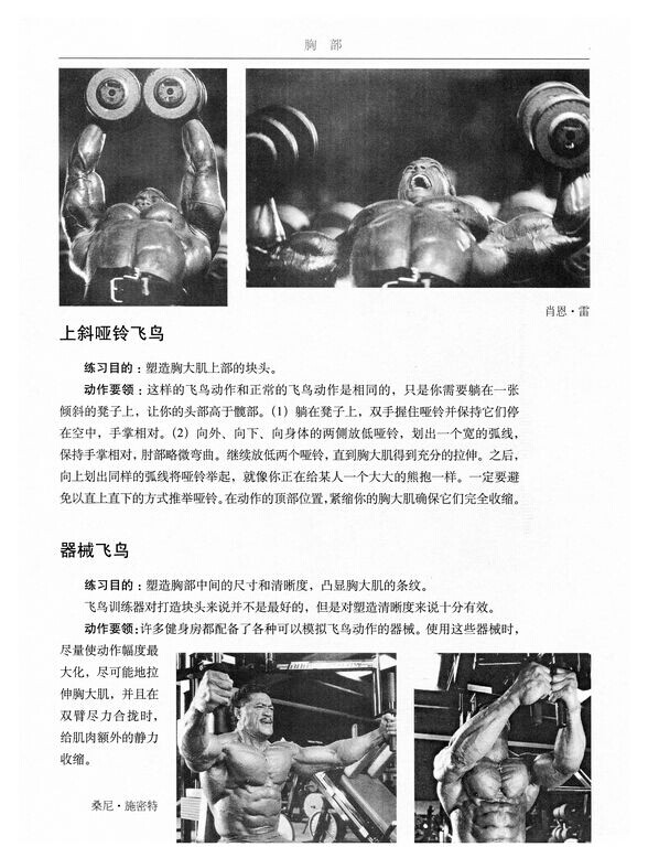上斜飞鸟1.jpg