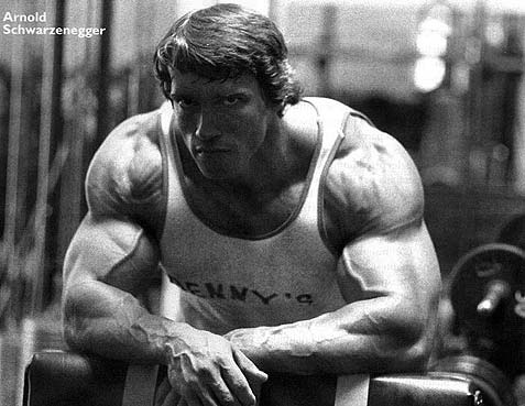 17589arnold_2.jpg