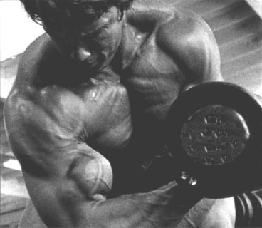 20708arnoldcurl.jpg