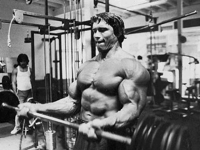 31133ArnoldBiceps5.jpg