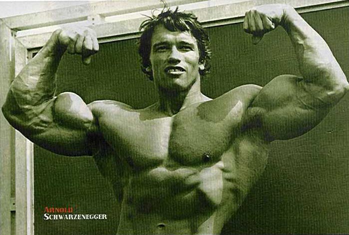 32993arnold01.jpeg
