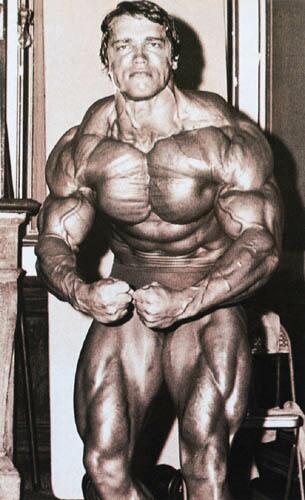 40012Arnold13.jpg