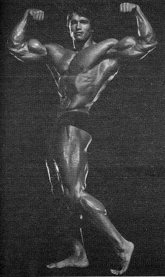 42299arny6.jpg