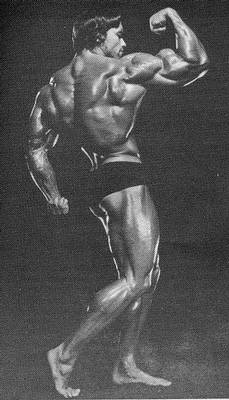 42299arny8.jpg