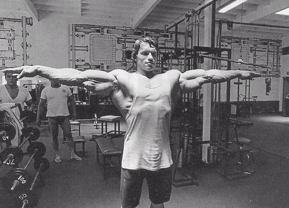 90454Arnold_Wingspan.jpg