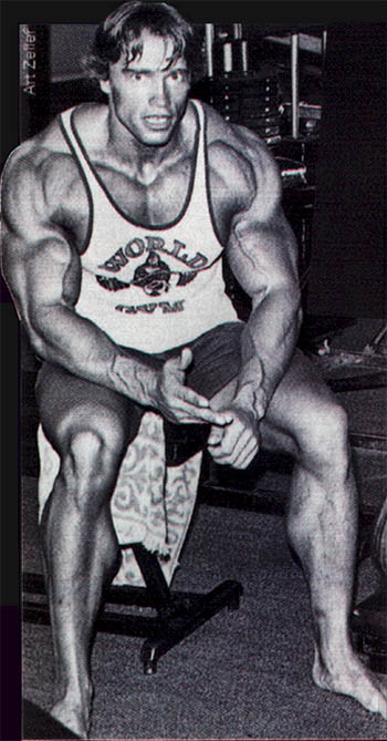 91760massivearnold1.jpg