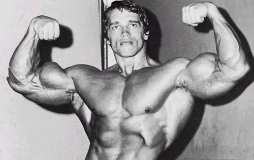 arnold double bic.jpg