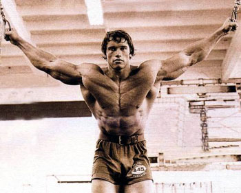 Arnold Schwarzenegger 3.jpg