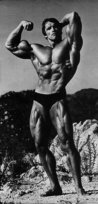 Arnold Schwarzenegger 5.jpg
