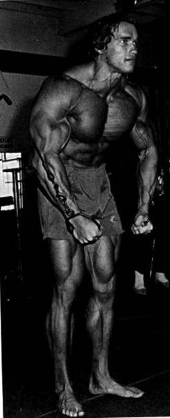 Arnold Schwarzenegger 9.jpg