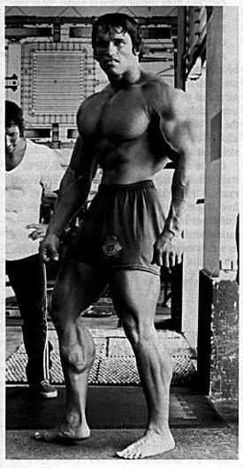 Arnold Schwarzenegger 6.jpg