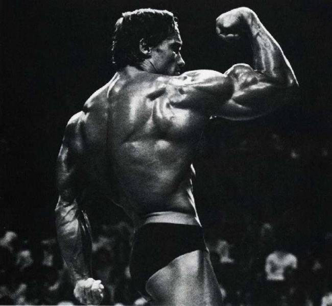 Arnold Schwarzenegger 11.jpg
