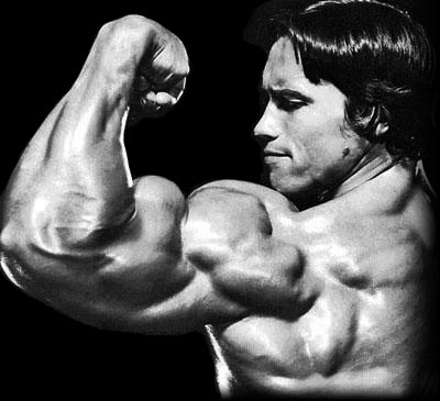 arnold.jpg