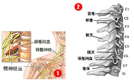 614e01cdx87ec55bcbb6f&amp;690.png