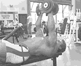 5.gif