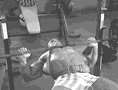1.gif