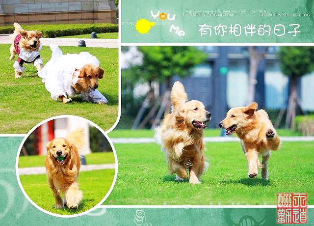 nEO_IMG_婚纱2.jpg