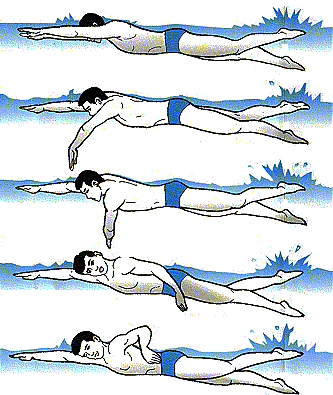 swim_free15.gif