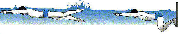 swim_free14.gif