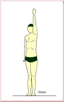 8.bmp