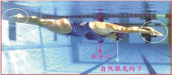 11.bmp