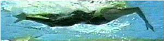 14.bmp
