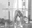 杠铃俯立划船.gif