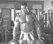 站姿哑铃锤式弯举.gif