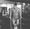双杠臂屈伸.gif