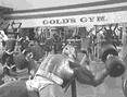上斜哑铃飞鸟.gif