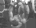 仰卧屈臂上拉.gif